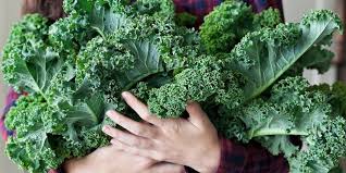10 Kale Health Benefits You Cant Ignore