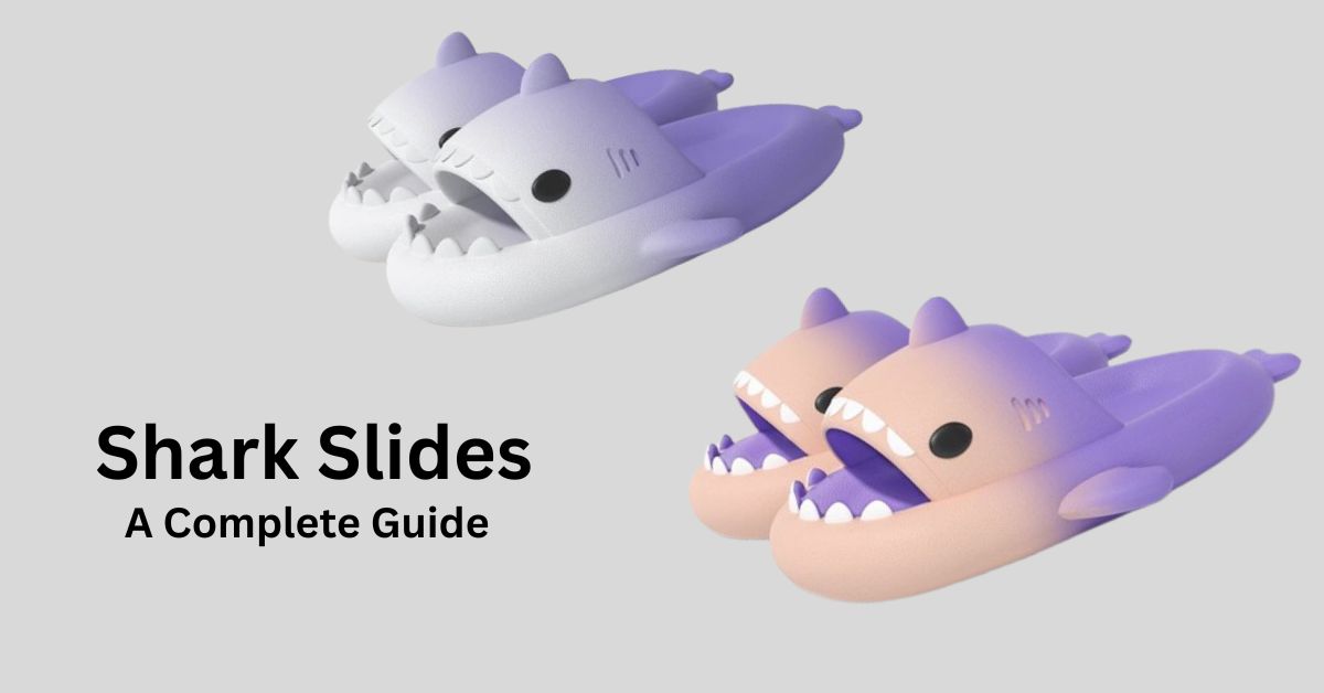 Shark Slides