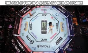 sports org with an octagon